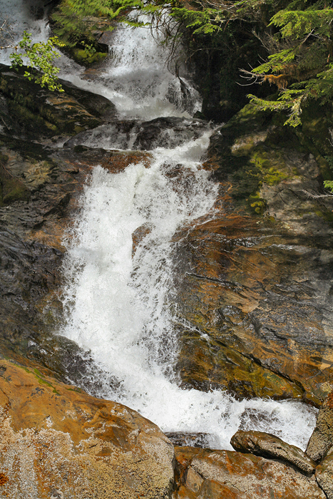 c_4235.jpg