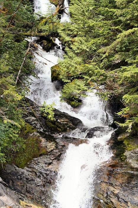 c_4239.jpg