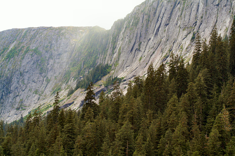 c_4248.jpg