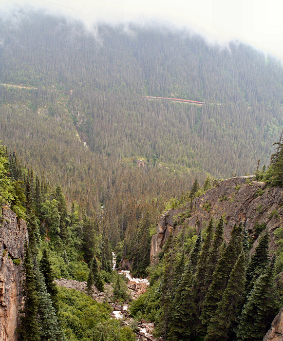 c_4377.jpg