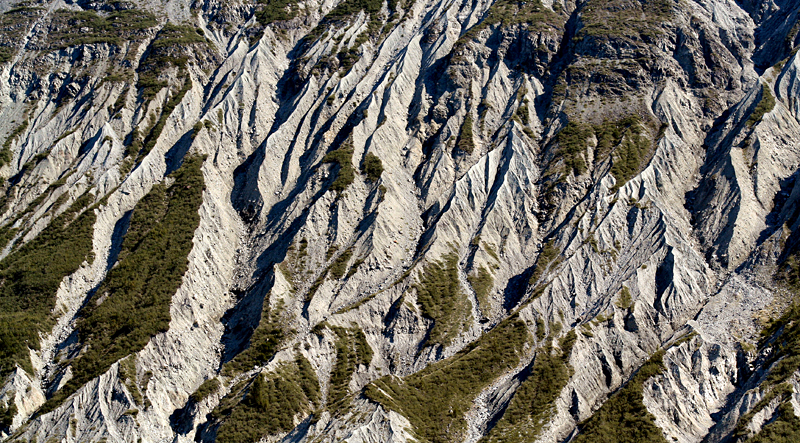 c_4454.jpg
