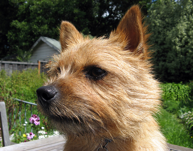 Maggie 0596