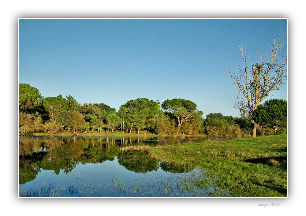 a small piece of Paradise.....