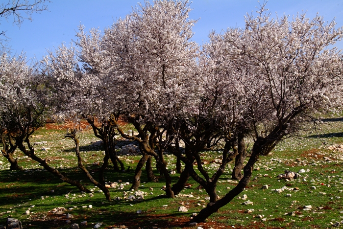 2008_03060072_1.TIF