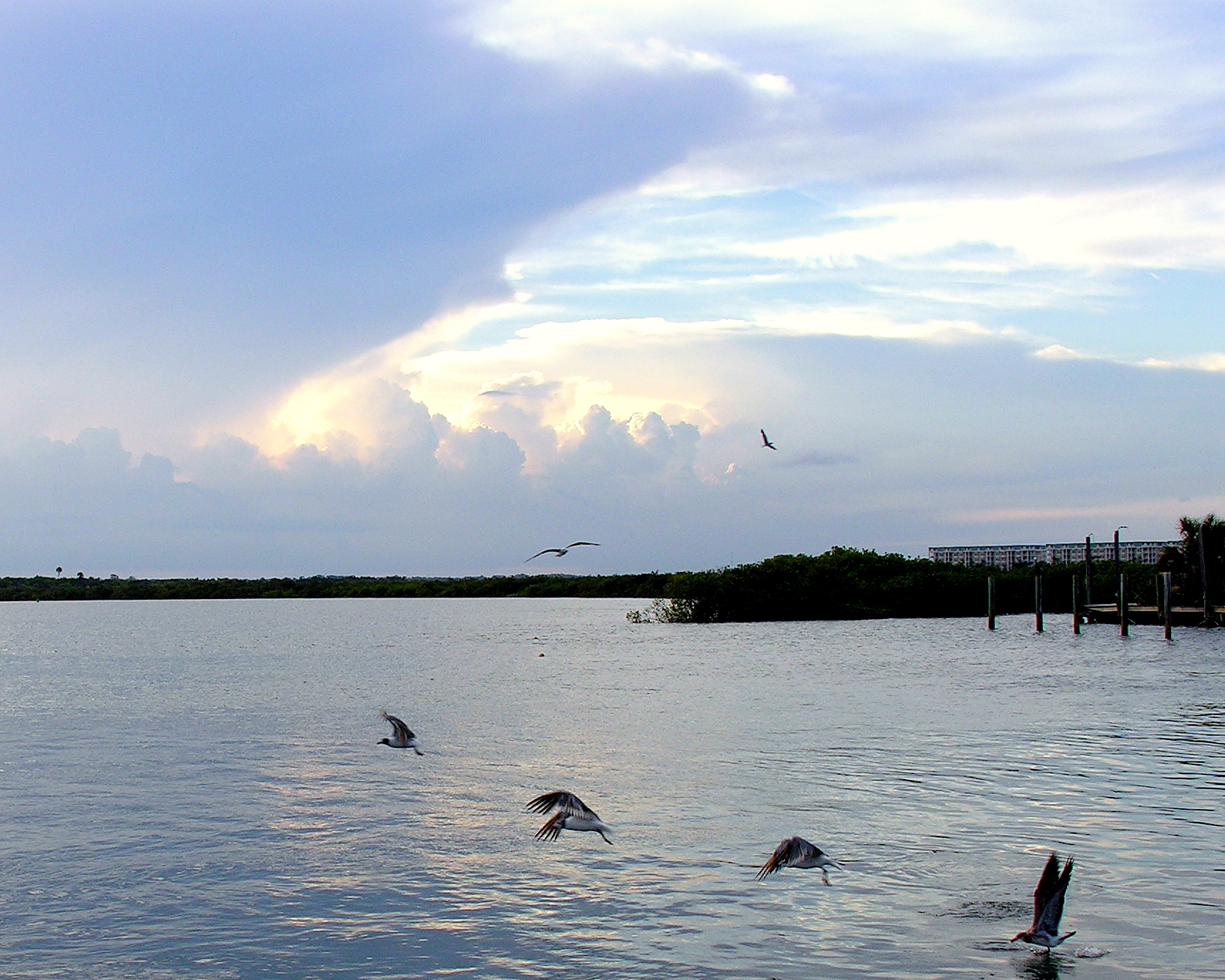 Evening Birds Dining