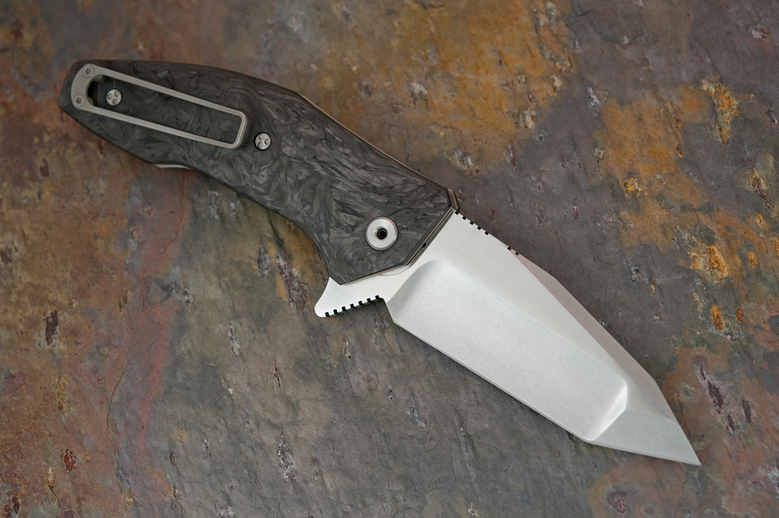 Allen Elishewitz Saboteur 2010 back
