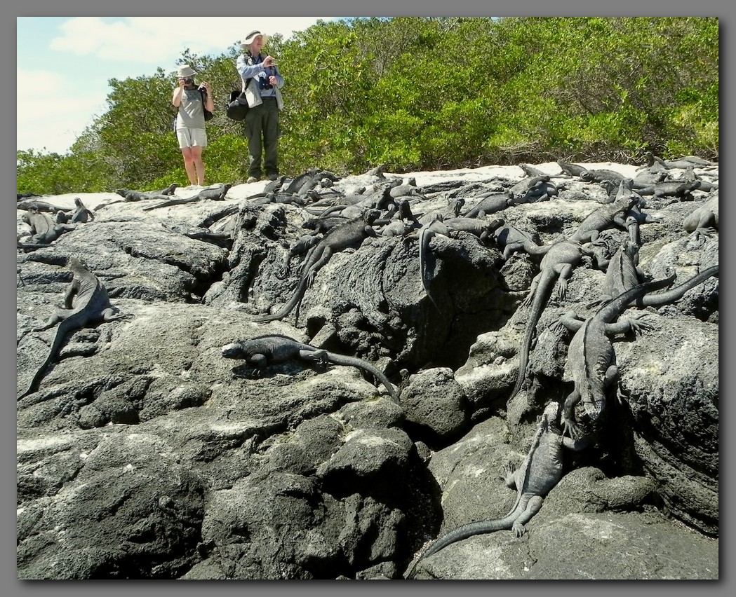 DSCN4191 Ann, Johnathon and a few Iguanas Fernandina.jpg