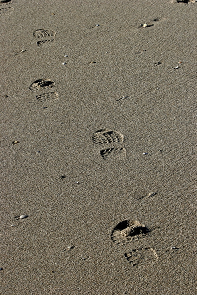 footstep in the sand 20080209019