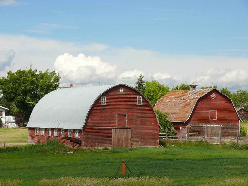 Red barns. New Sarepta.jpg