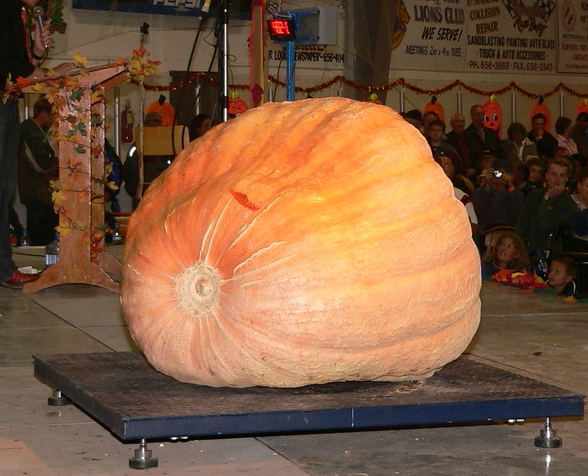 Giant pumpkin.jpg