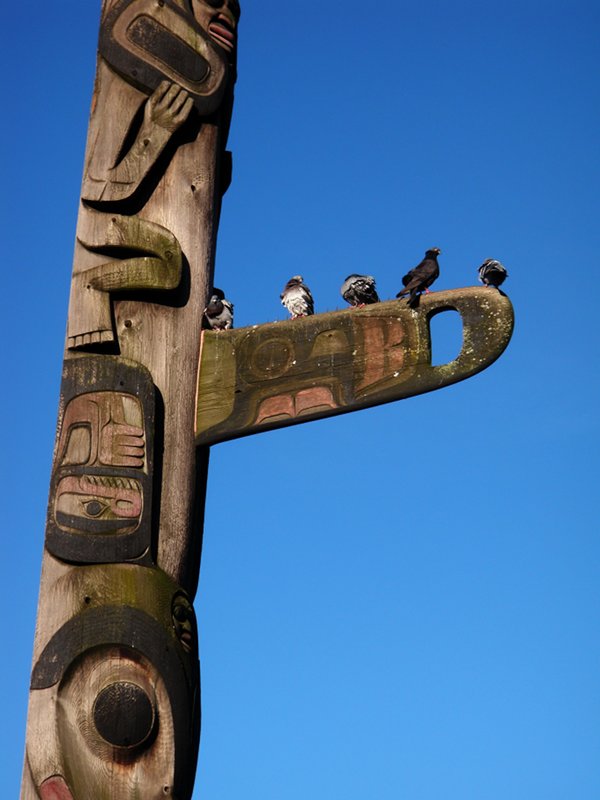 Pigeon post