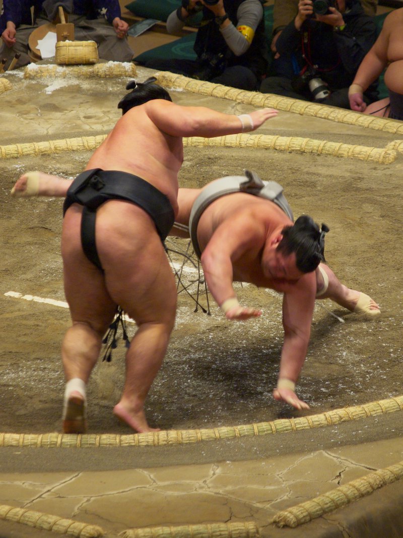 P1166381.jpg
