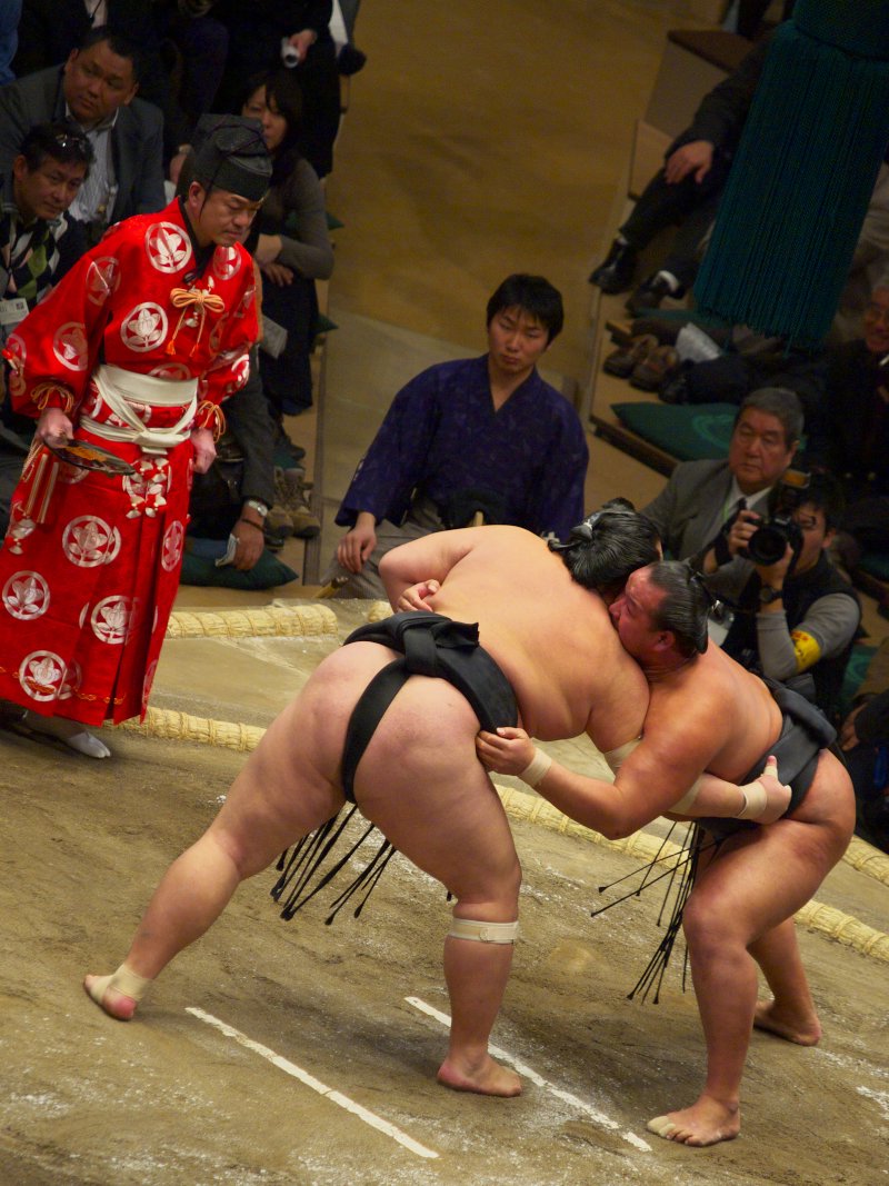 P1166389.jpg