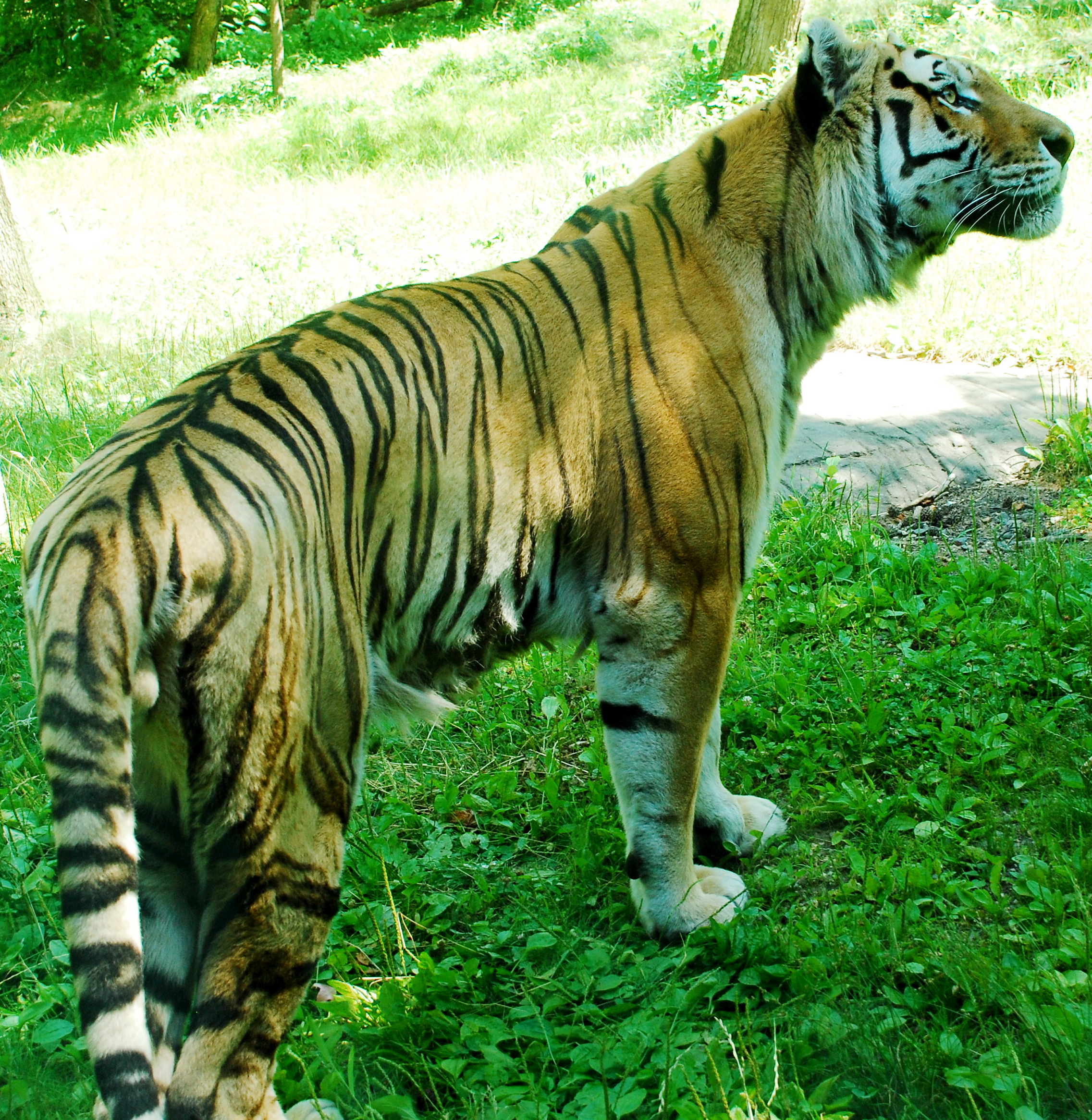 DSC_0829.JPG
