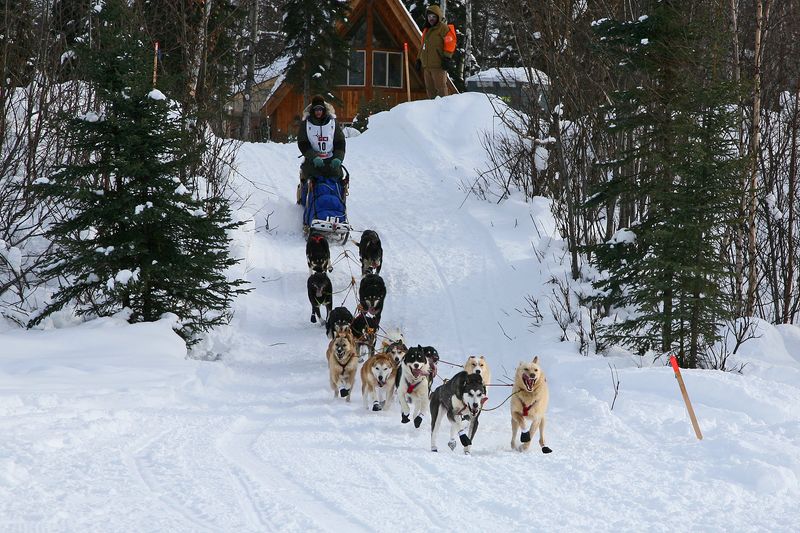 Iditarod37_Willow_08Mar2009_ 043_Matray.JPG