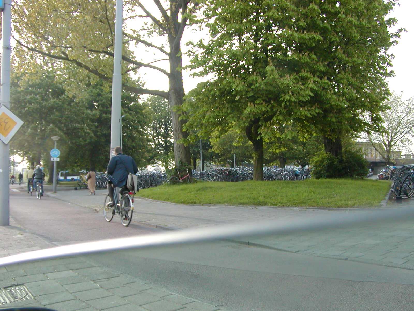 Bicycles Amsterdam