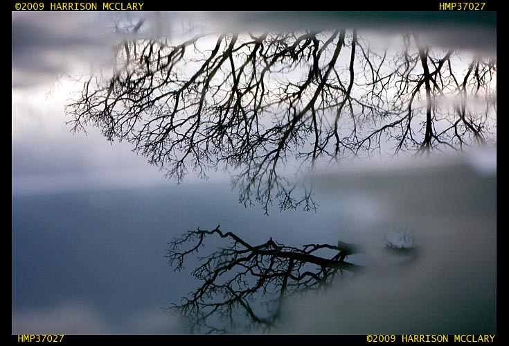 Reflections