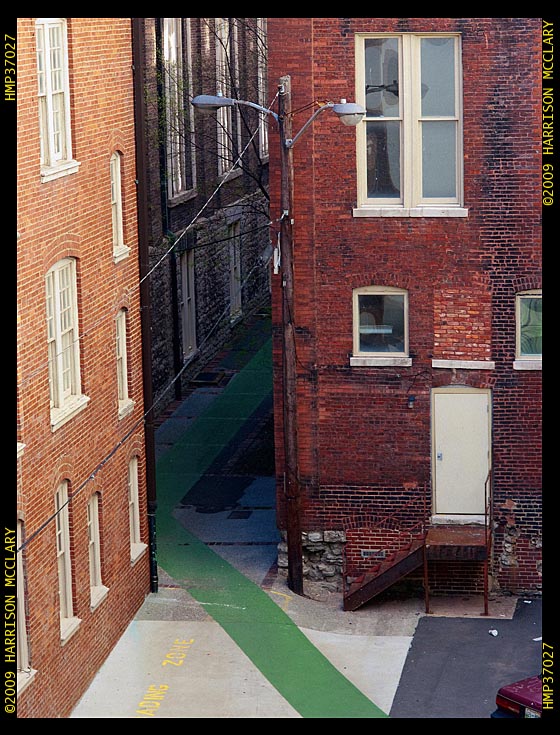 Follow the green path
