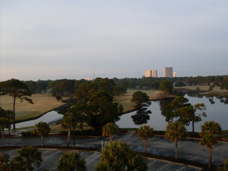 SDC10011_resize.JPG