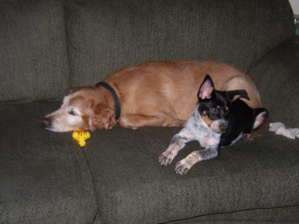 Jammer and Fiona