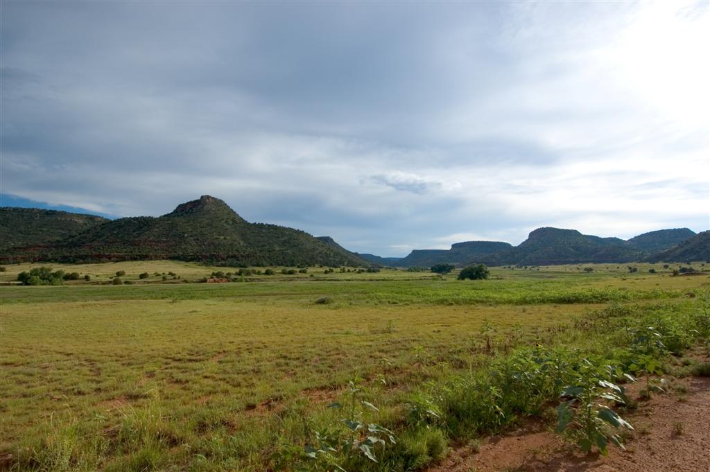 Spool, New Mexico