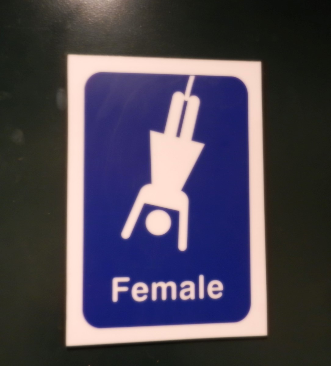  Kiwi bathroom humor at the bungy jump.