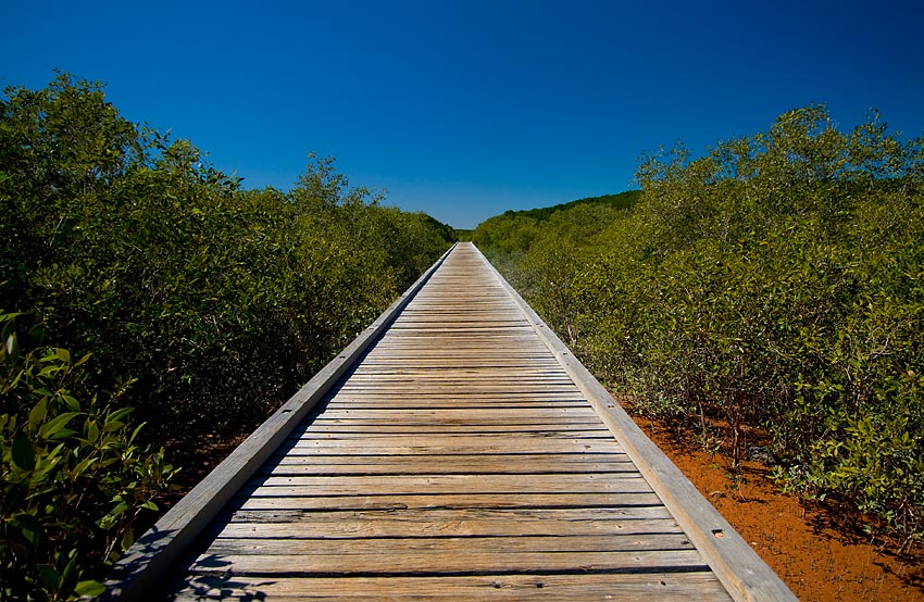 Boardwalk
