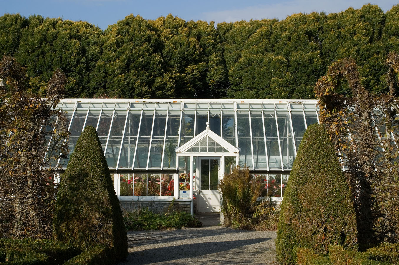 Greenhouse