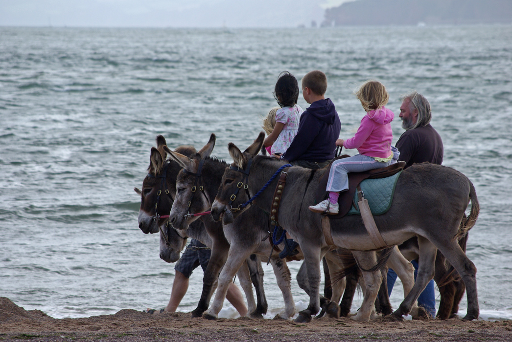 Donkeys at Exmouth - a sort of Vehicle