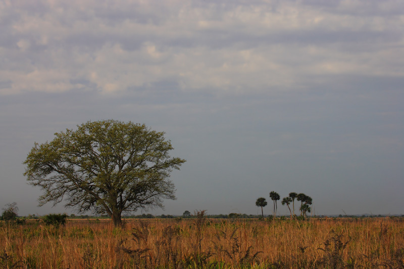 Three Lakes Wildlife management Area