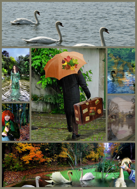 Final collage for TMAS resized.jpg