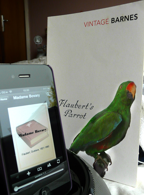 Flaubert's Parrot  by Julian Barnes