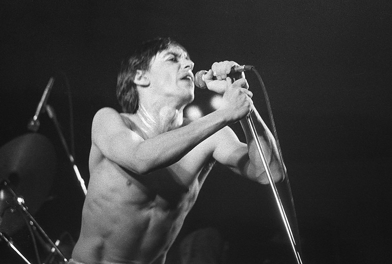 1979M-Iggy Pop 2.jpg