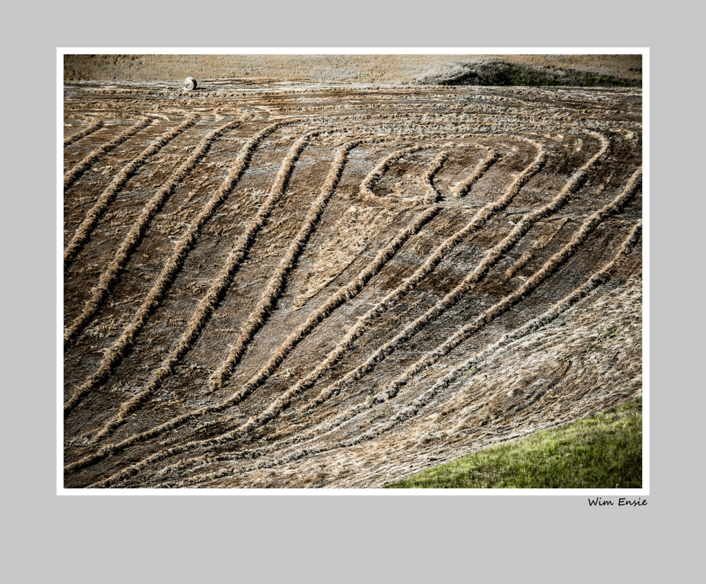 lines