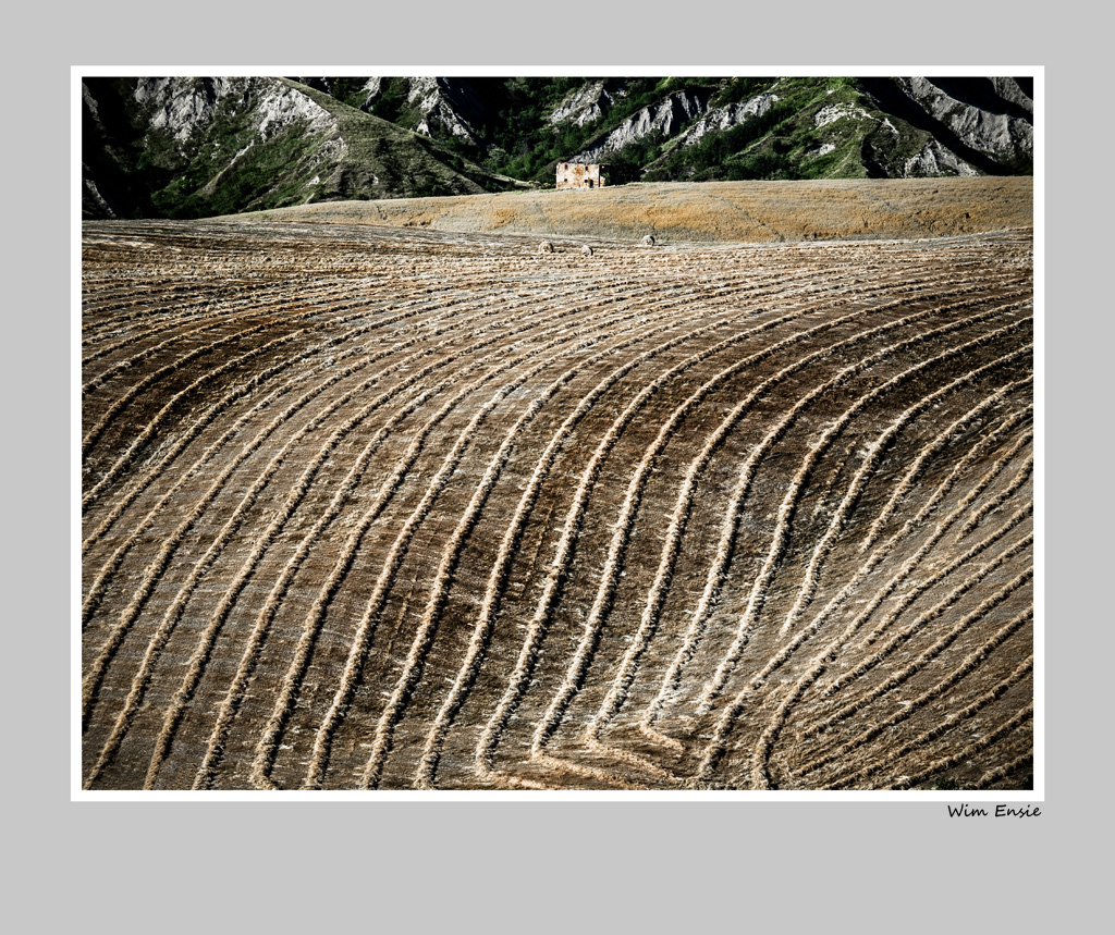 lines