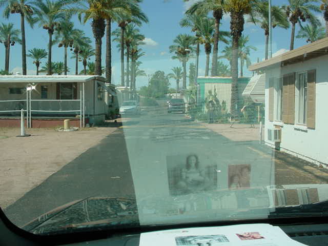 north on my street<br>Palm Lane Mesa AZ