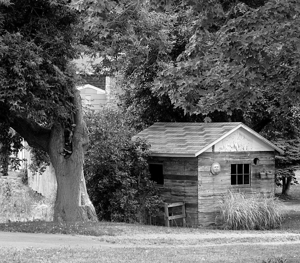 Day 13 - Gardening Shed