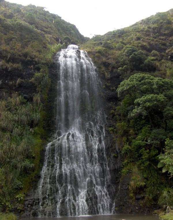 Waitakere Ranges. New Zealand