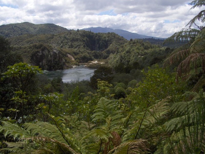 Waimangu Volcanic Valley