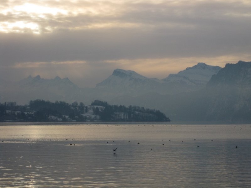 Vierwaldsttter See (Lago de los Cuatro Cantones)