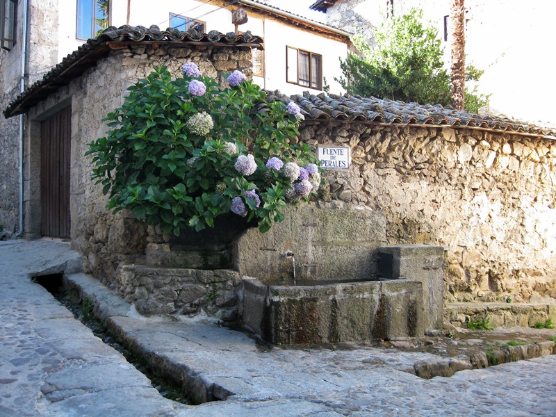 Candelario