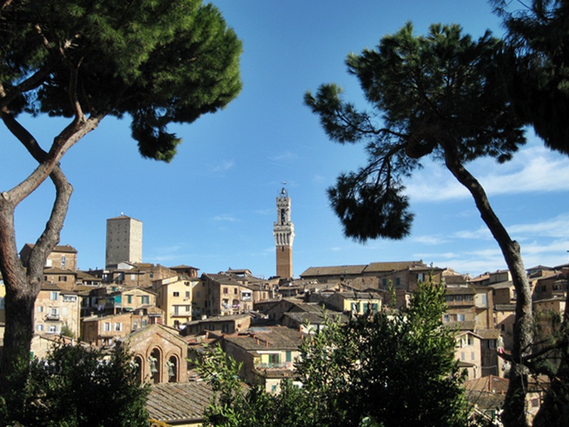 Siena