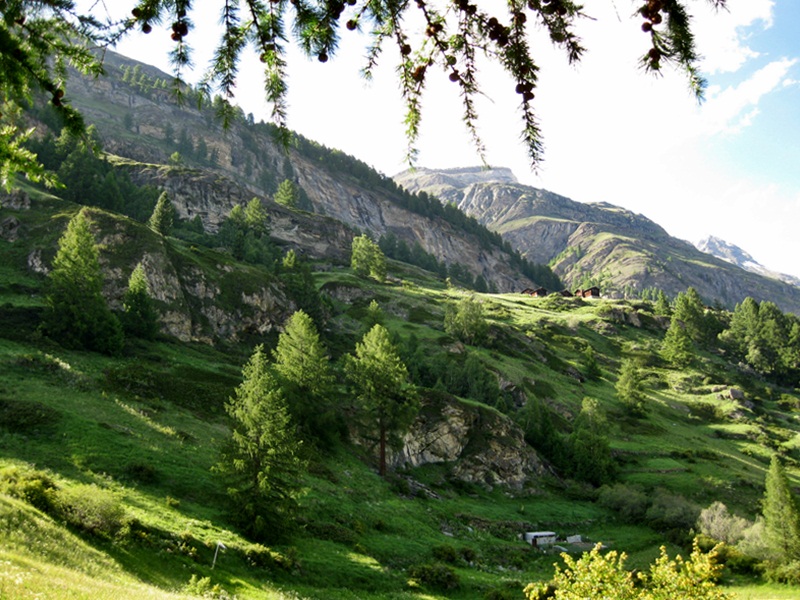 Zermatt. View from the trail to Zmutt