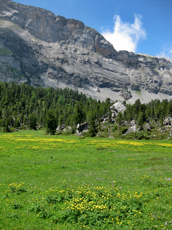 Kandersteg. Spittelmatte Plain