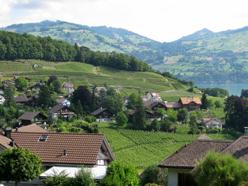 Spiez