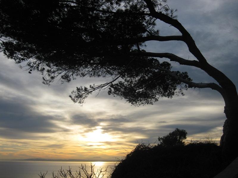 Badia de Roses (Alt Empord)