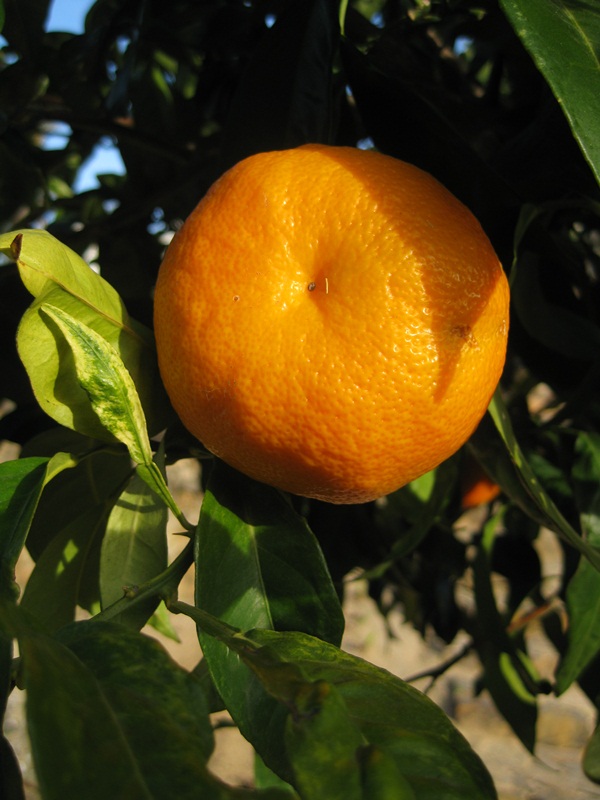 Jardins de Cap Roig