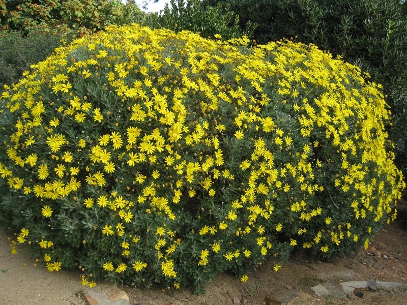 Jardins de Cap Roig