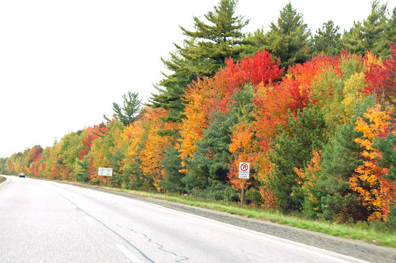 On the road to Ottawa