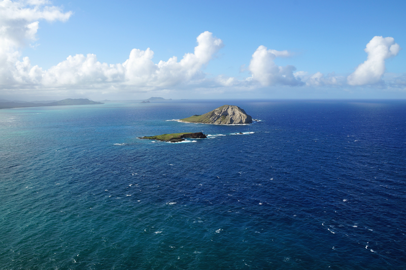 Rabbit Island